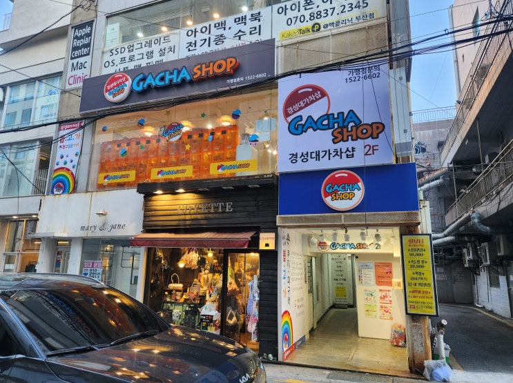  부산 경성대 가챠샵 키덜트들의 천국 켄마 뽑기 성공