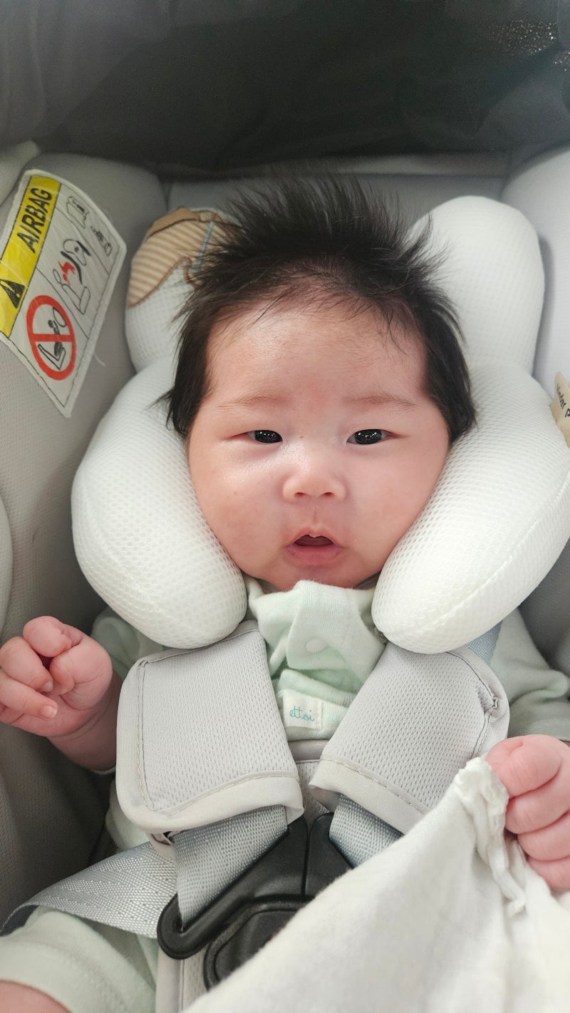 유아 카시트 유모차 머리쿠션 목베개 스칸디맘/킨더팜 비교 후기