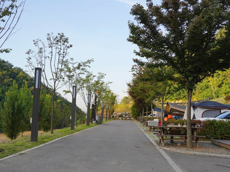  서울 천왕산 가족캠핑장 명당 체크 및 예약 방법