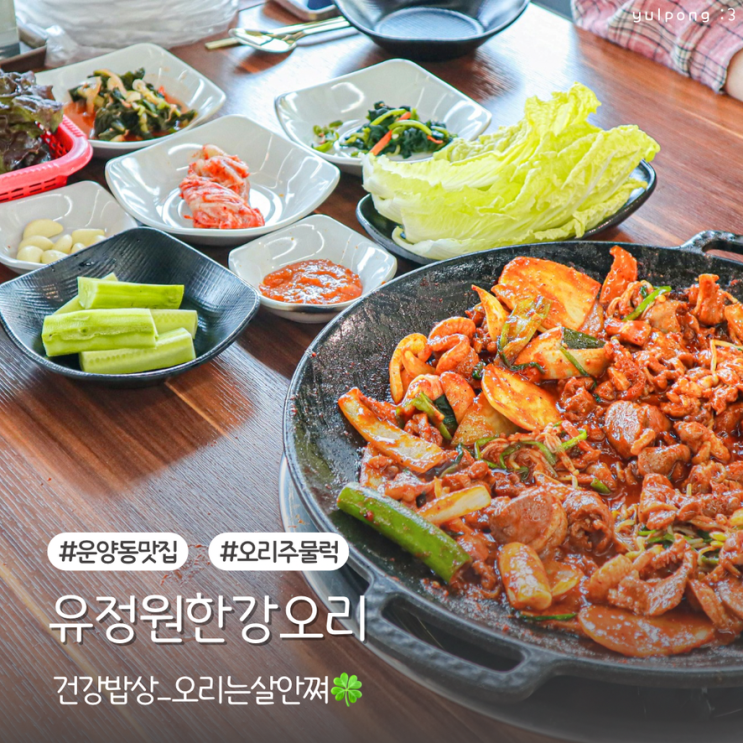  운양동맛집 유정원한강오리 전라도식 오리주물럭 애견동반식당 추천