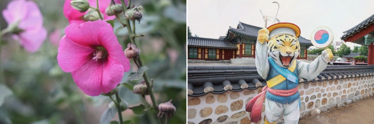  강릉여행의 필수 코스, 강릉장칼국수맛집에서 즐기는 특별한 한 끼