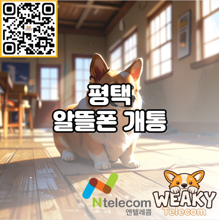  평택 알뜰폰 개통을 위해 대리점을 찾고 있나요?