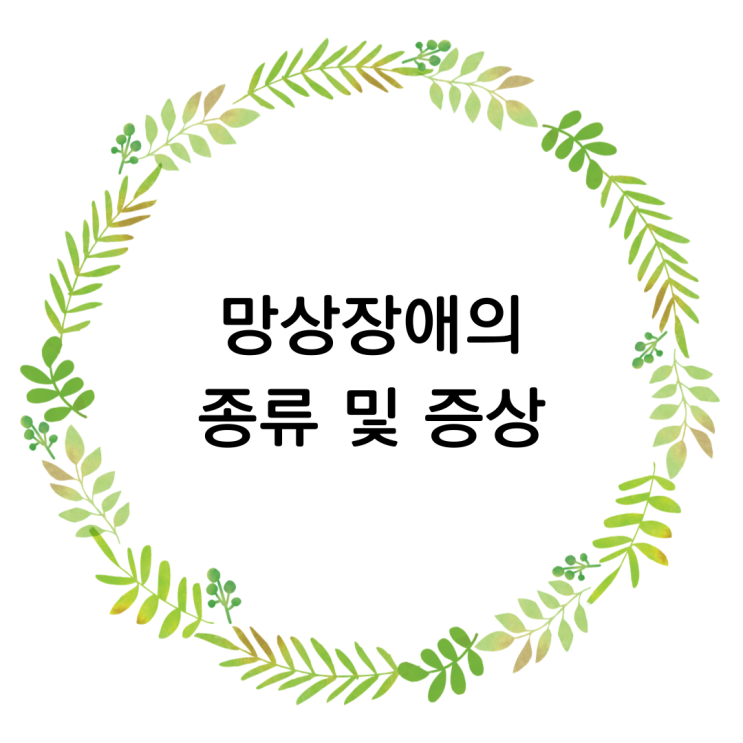  망상 장애 뜻과 망상의 종류, 진단기준