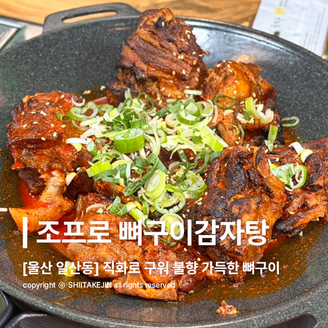  [울산 동구 맛집] 일산해수욕장 앞 서울식 뼈구이 맛집, 조프로 뼈구이 감자탕 울산동구점
