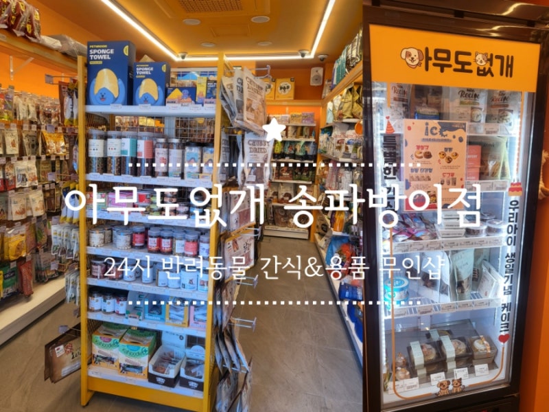 사진 5