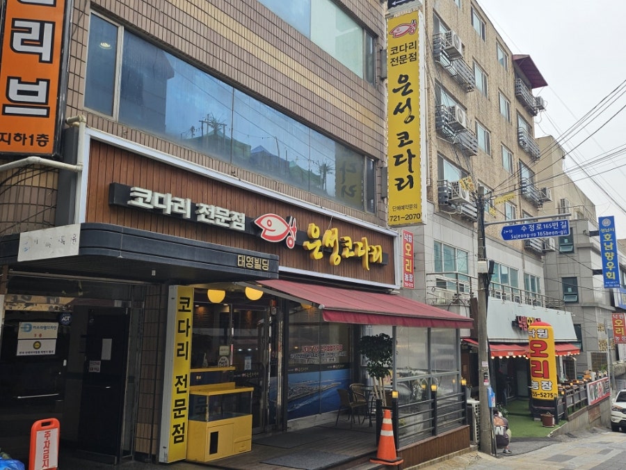은성코다리 사진 1