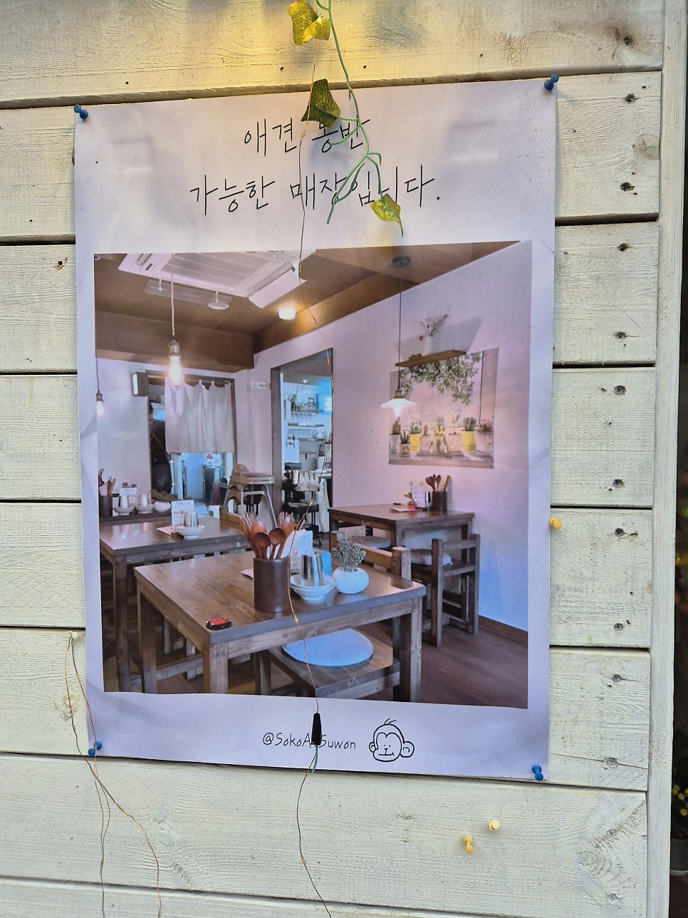 소코아 수원점 사진 4