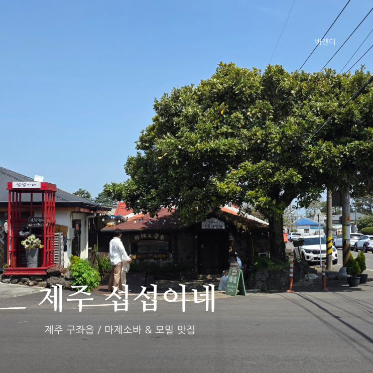  제주 구좌읍 맛집 섭섭이네 / 탐나는전 캐시백