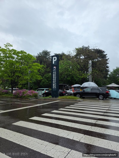 사진 2