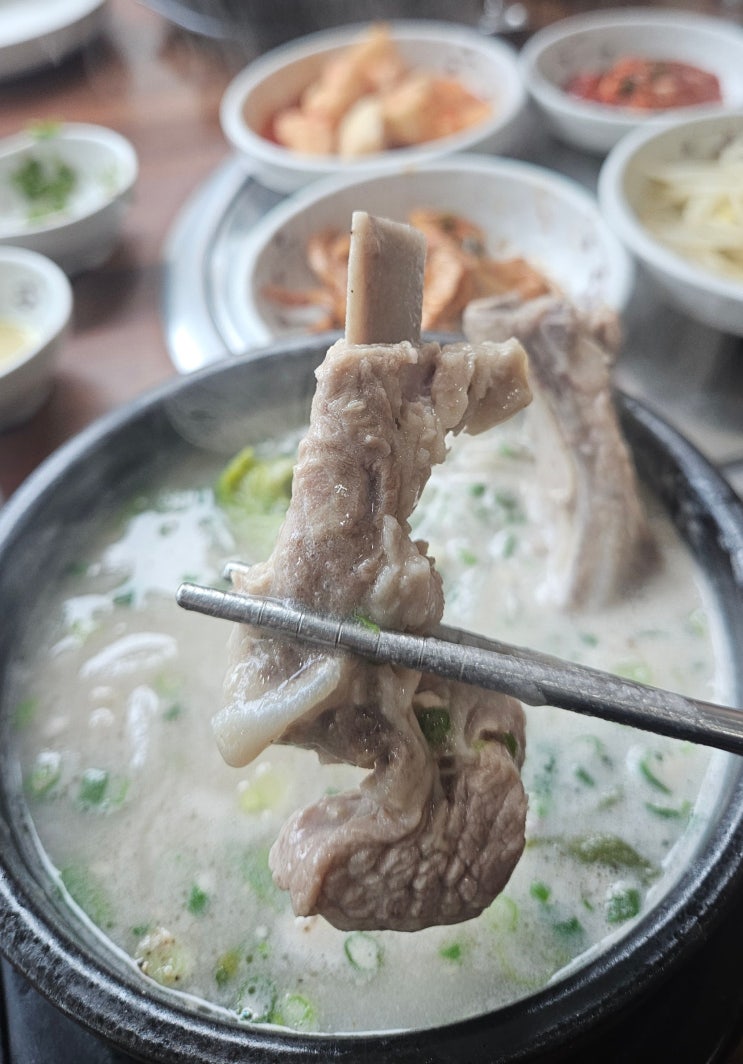 제주동부경찰서근처 제주도민맛집 해아름식당 접짝뼈국 제주동부경찰서근처 제주도민맛집 해아름식당 접짝뼈국