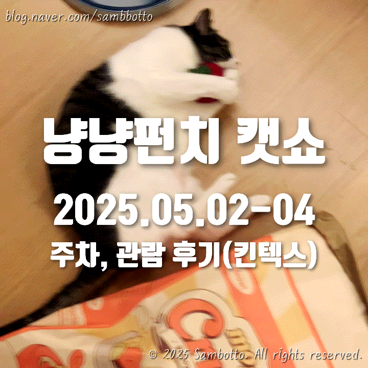  [내돈내산] 냥냥펀치 캣쇼(킨텍스) 다녀왔어요! | 주차, 관람팁, 잘산템 소개