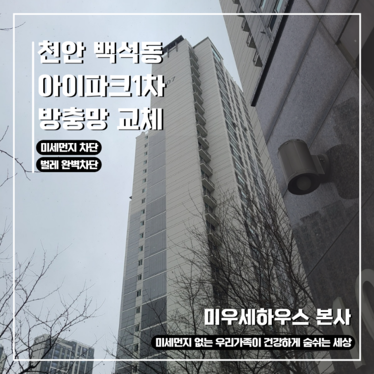  [천안 백석동 방충망 교체 후기] 아이파크1차 아파트 – 덧댄 망, 지저분함과 벌레 유입 이젠 끝!