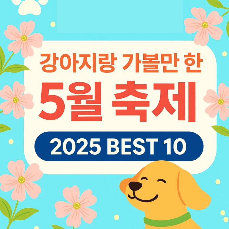  서울장미부터 고창 폭싹속았수다까지! 2025 애견동반 가능한 5월 축제 10선