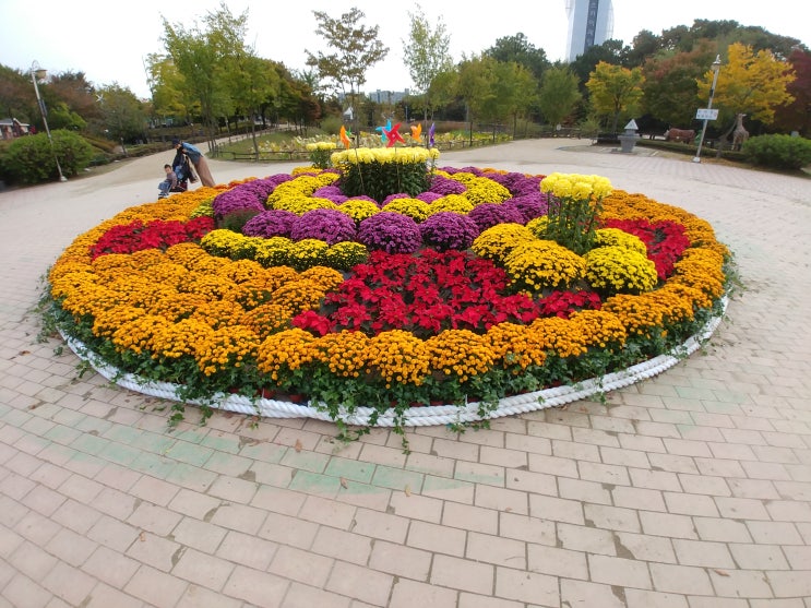  상가 매출 급감, 임대료 조정 가능한가요? 차임 감액 요건과 판례 정리