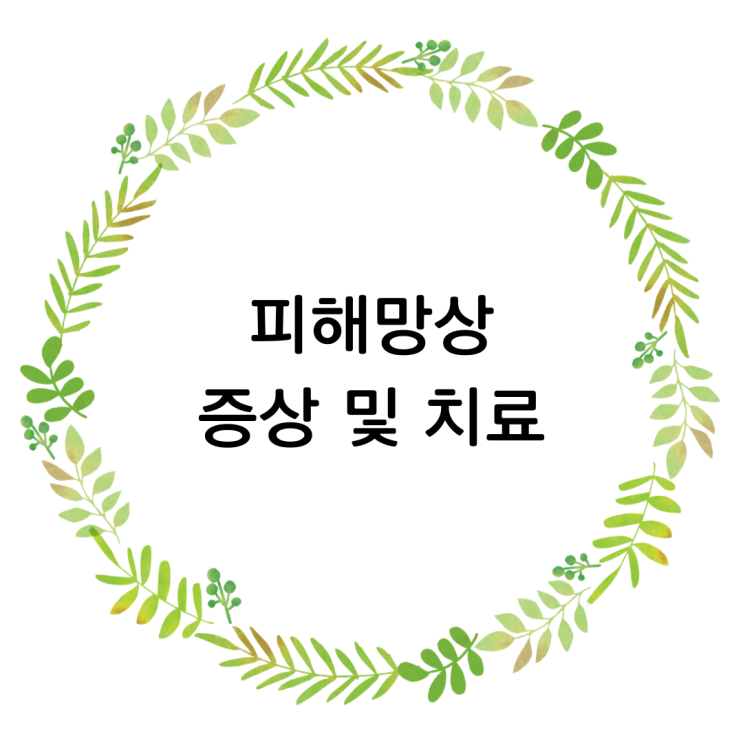  피해망상 증상 및 치료