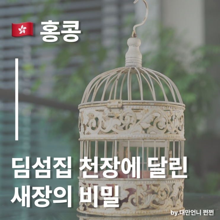  새장 들고 딤섬집 간다구요?홍콩 딤섬집 천장에 달린 새장의 비밀/홍콩 미식의 역사
