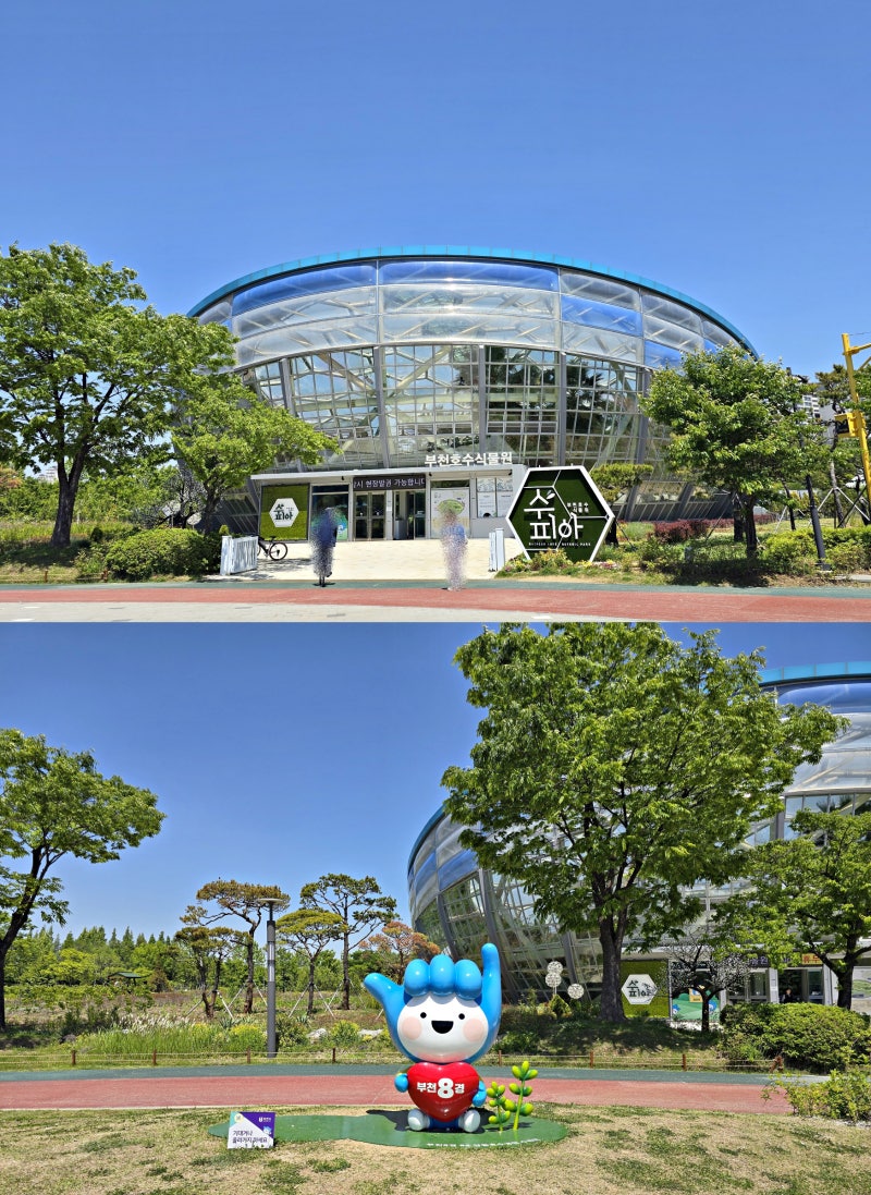 사진 7