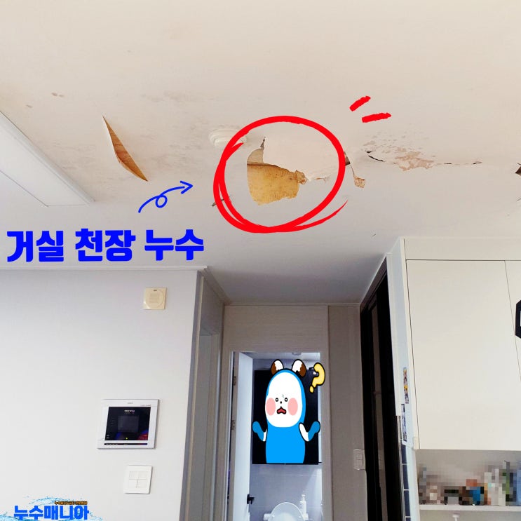  거실 천장 물방울 누수 원인 분석 및 종류