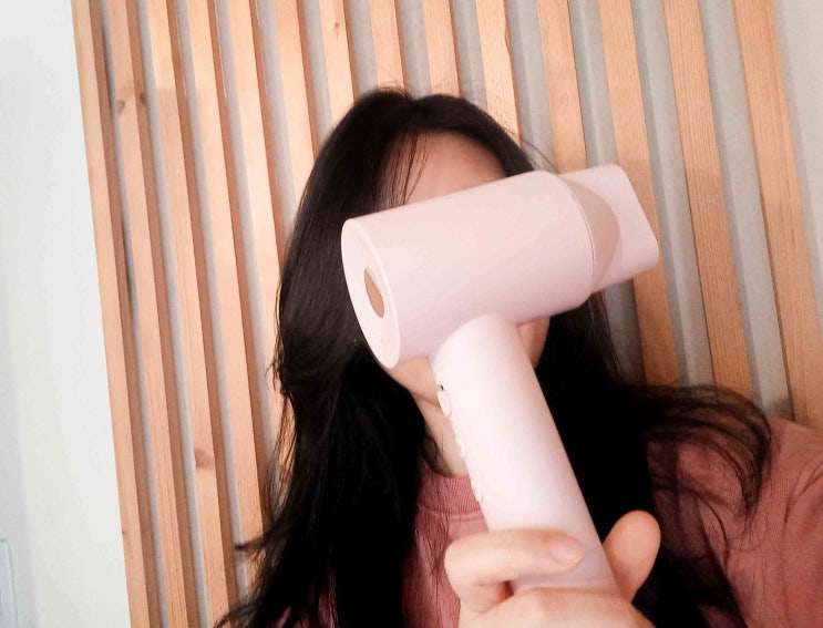  저소음헤어드라이기 거치대도 만족한 랜드미 헤어드라이어 한달사용후기