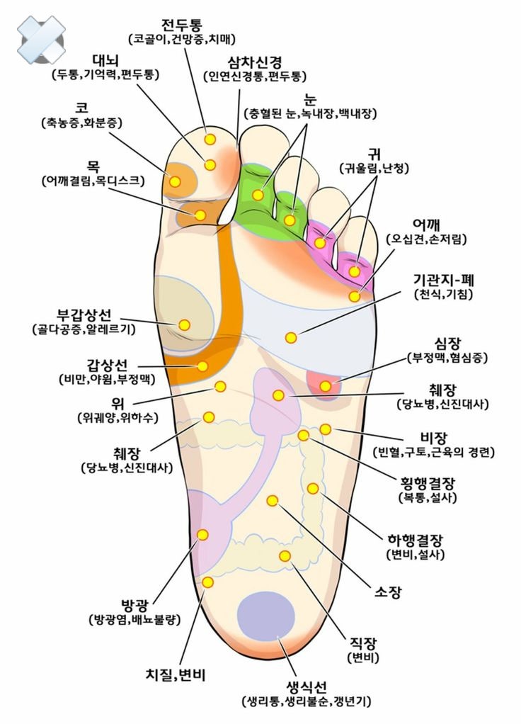 만성통증 잡는 발바닥 파스법 전문의가 알려주는 놀라운 효과