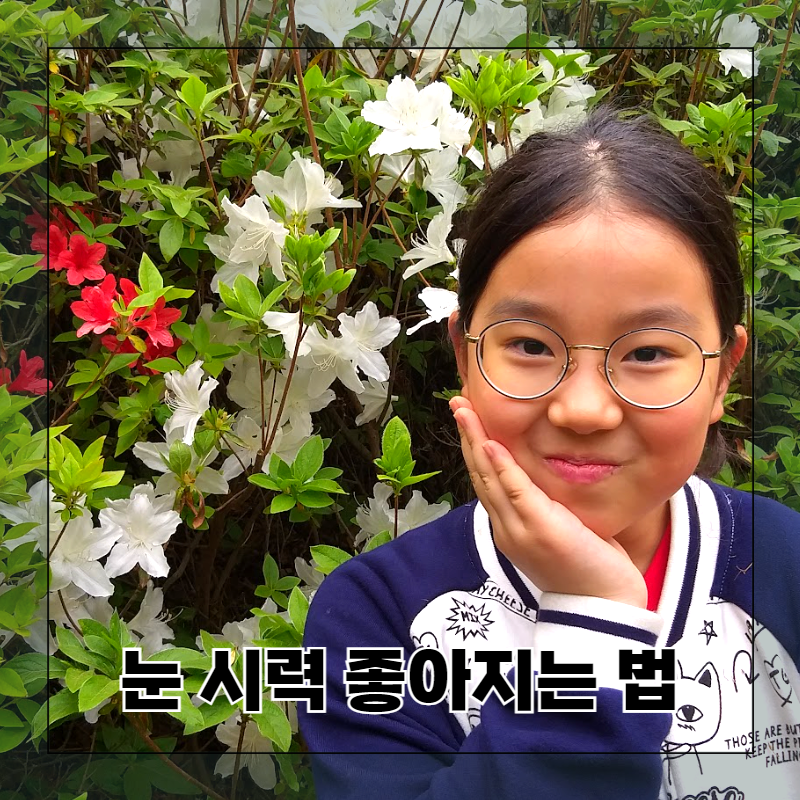눈 시력 좋아지는 방법 운동 음식