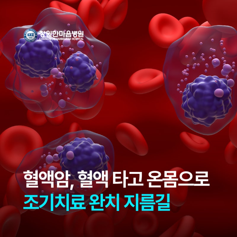 창원한마음병원 혈액종양내과 박경태 교수, 혈액암, 혈액타고 온몸으로... 조기치료 완치 지....