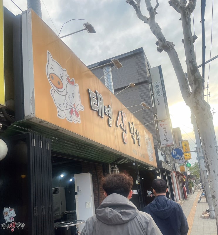  수원 매탄동 맛집 태영 생막창 매탄점 추천