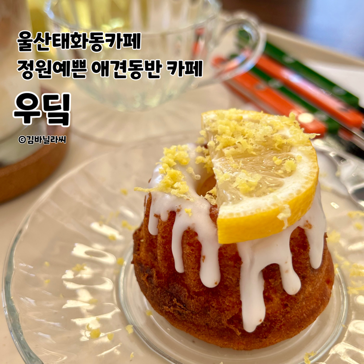  울산 중구 태화동 맛집 우딬 정원 예쁜 애견동반 전용주차장 카페