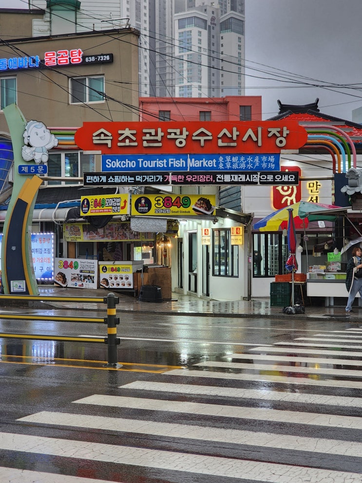  내돈내산 속초 수산관광시장 쇼핑리스트 솔직후기