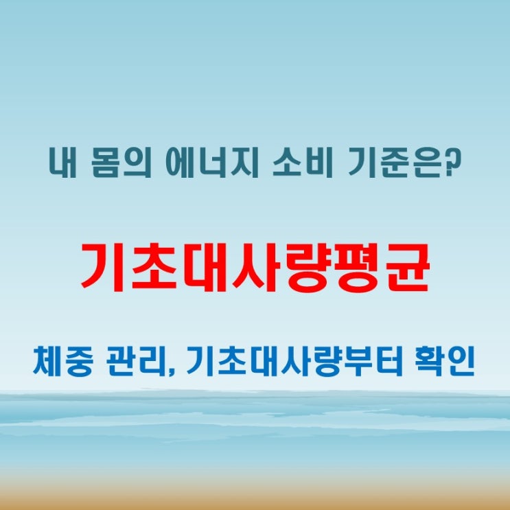  기초대사량평균 여자 남자 모두 확인해야 할 건강 기준
