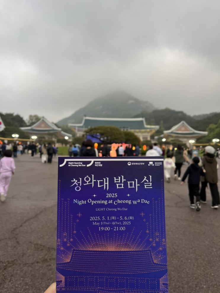 [서울 종로] <b>청와대 밤마실</b> :: 풀내음 가득 청와대 빛의 향연... 
