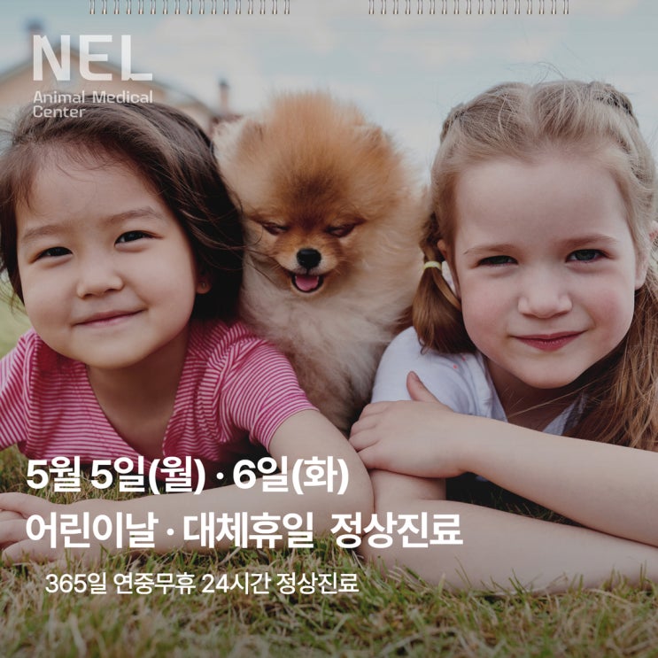  [안내] 2025 어린이날·대체휴일 진료안내