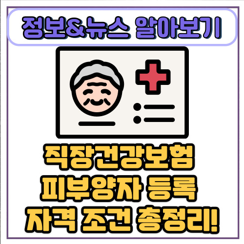  직장건강보험 피부양자 등록 조건 / 소득 재산 요건부터 가족 기준까지
