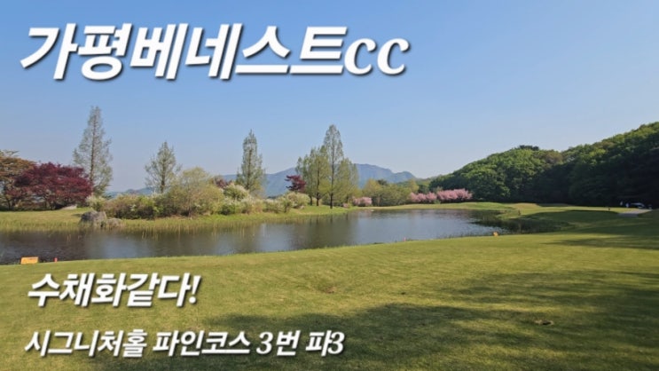 국내골프 가평베네스트cc 메이플/파인코스 골프라운드 후기 국내골프 가평베네스트cc 메이플/파인코스 골프라운드 후기