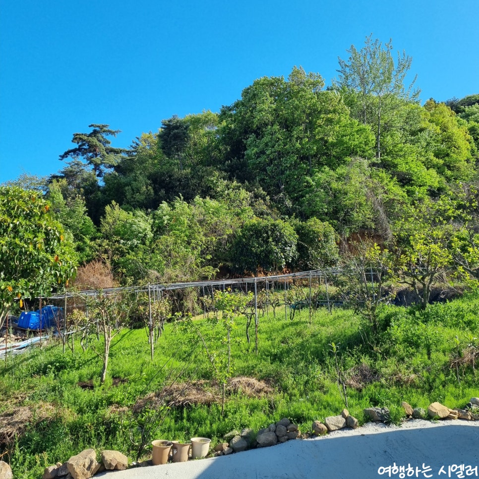 바다펜션 사진 6