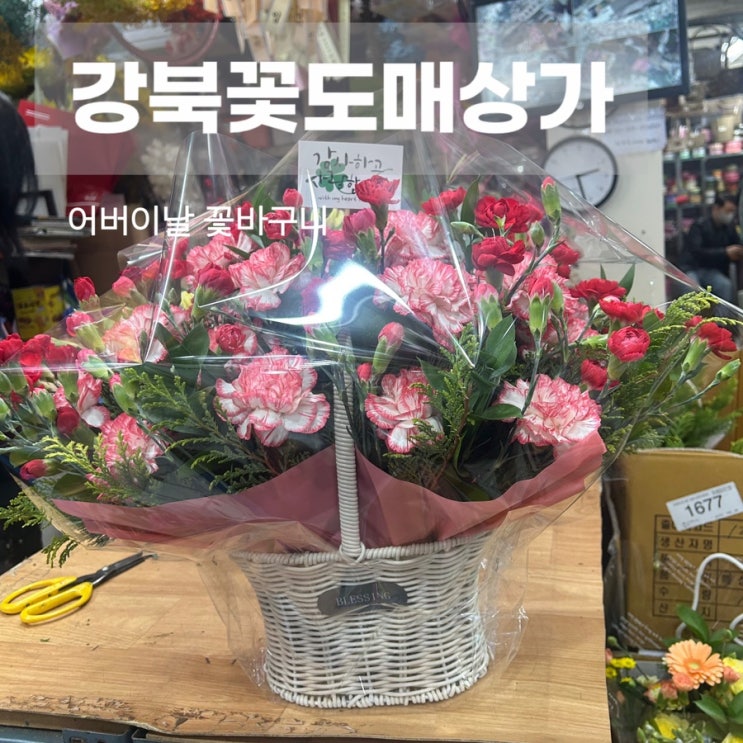  저렴하게 어버이날 카네이션 꽃바구니 살 수 있는 곳 창동 강북꽃도매상가