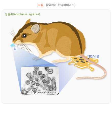  지식채널e - 한탄바이러스를 최초 발견하며 전 세계를 구한 과학자, 이호왕