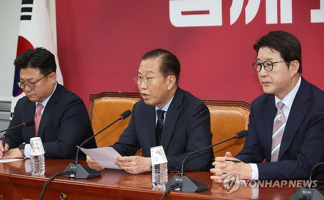 국민의힘 