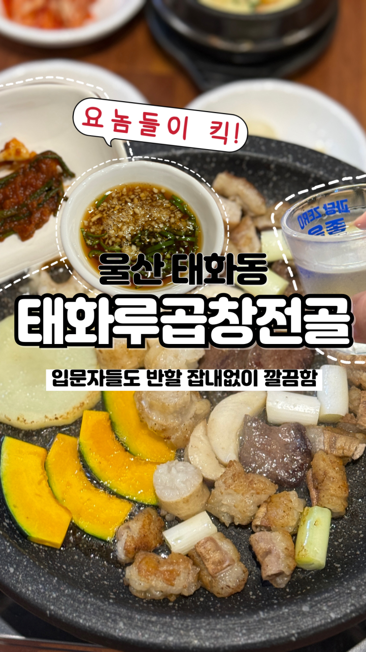  잡내 1도없어 입문자도 반할 맛 태화동 곱창 맛집 태화루곱창전골