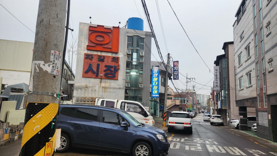 칠암바다장어 사진 1