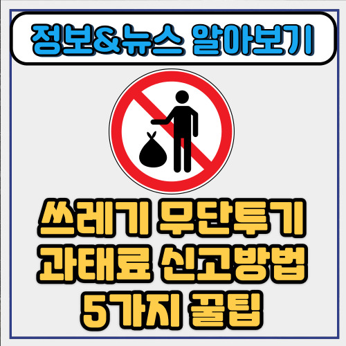  쓰레기 무단투기 과태료 신고방법 5가지 꿀팁