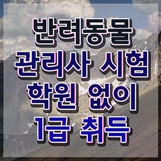  반려동물복지관리사 , 반려동물관리사 쉽고 빠르게 취득했던 후기 보고가세요