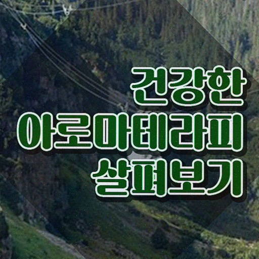  아로마뷰티diy지도사 시험일정 , 자격증 응시자격 없이 취득한 정보 , 채용 정보