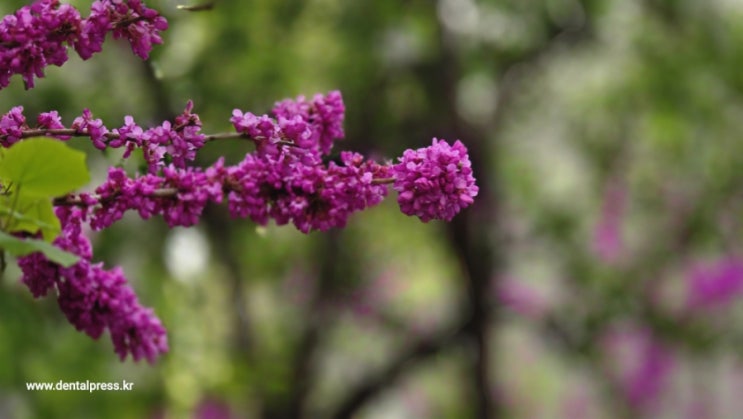 현재 <b>의대생</b>들 1만명 <b>유급</b>가능