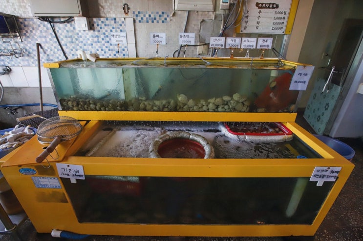  사천해변의 신선한 해산물 가득한 강릉 조개구이 맛집, 불티조개구이