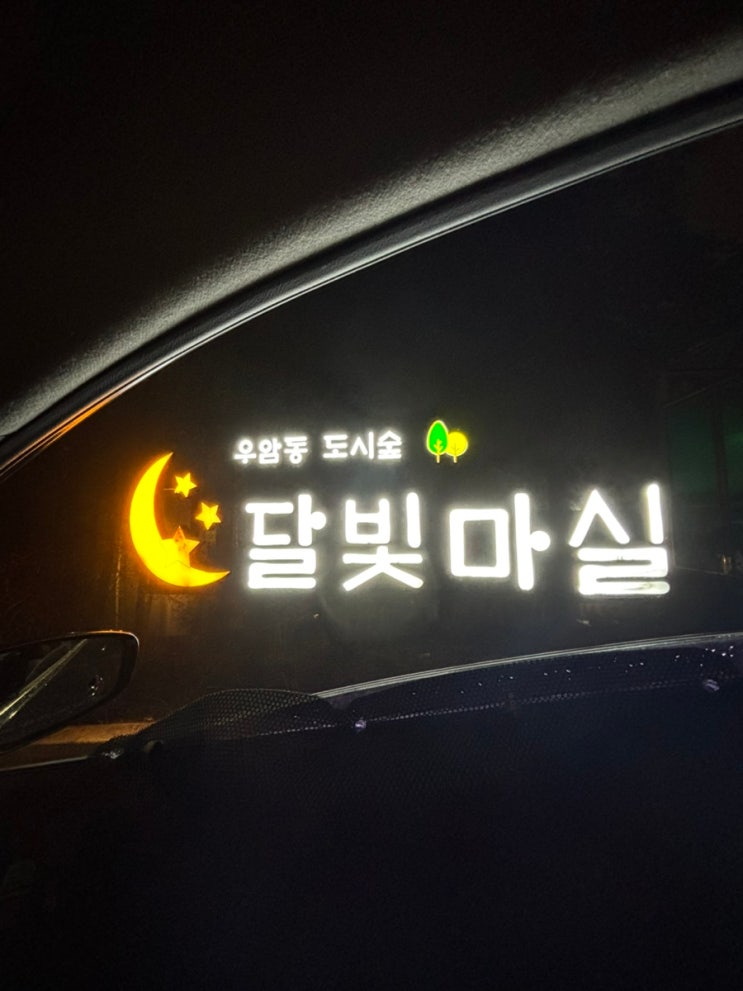  부산의 숨겨진 야경 명소 우암동 도시숲 달빛마실