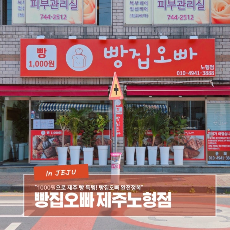  제주 1000원 빵집 - 빵집오빠 제주노형점
