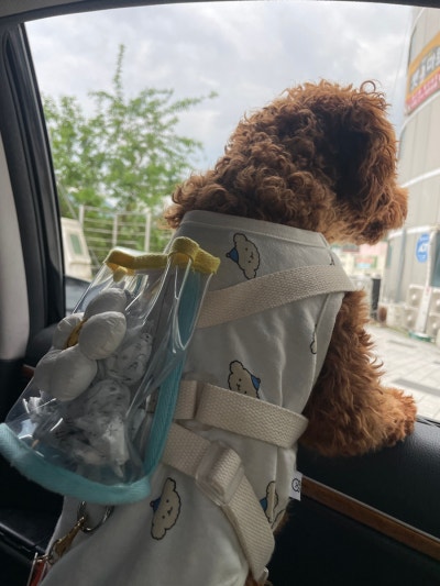 사진 15
