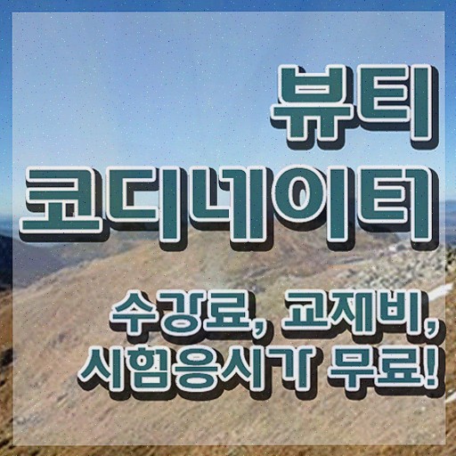  코디네이터구인구직 , 뷰티코디네이터 온라인으로 간단히 합격한 전략 및 고용 전망