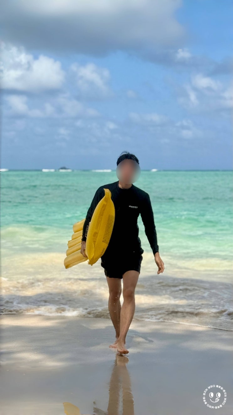  하와이 오아후 일일 드라이브 코스 추천 카일루아 스노쿨링, 돌플랜테이션, 라니아케아 거북이